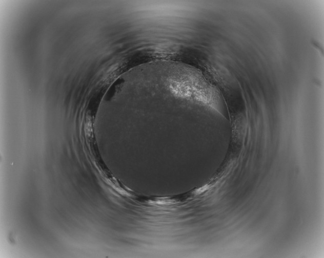 X0000097300137200802151448