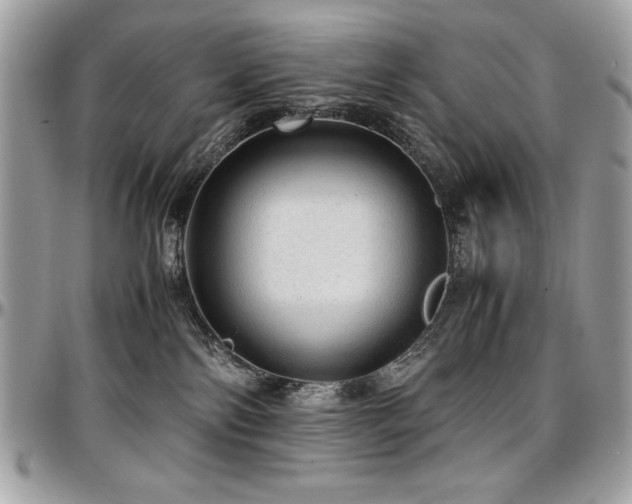 X0000097300138200802151447