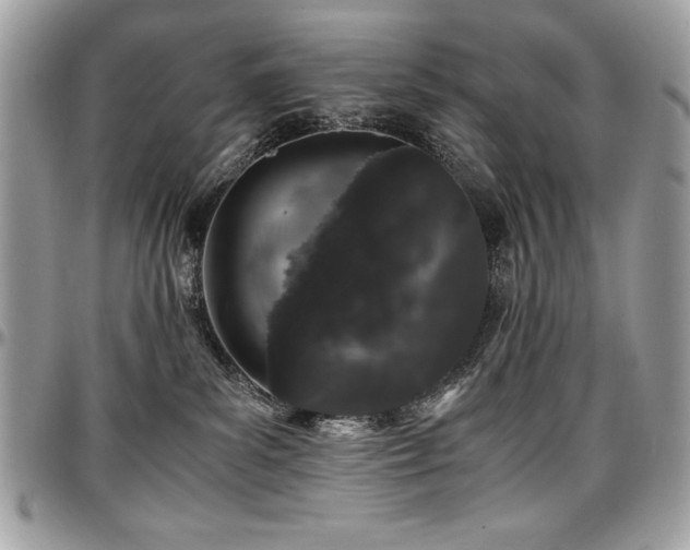 X0000097300139200802151447