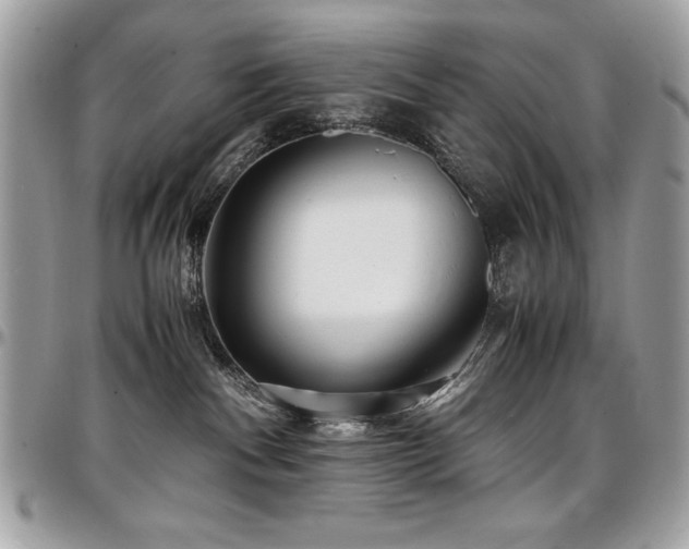 X0000097300140200802151447