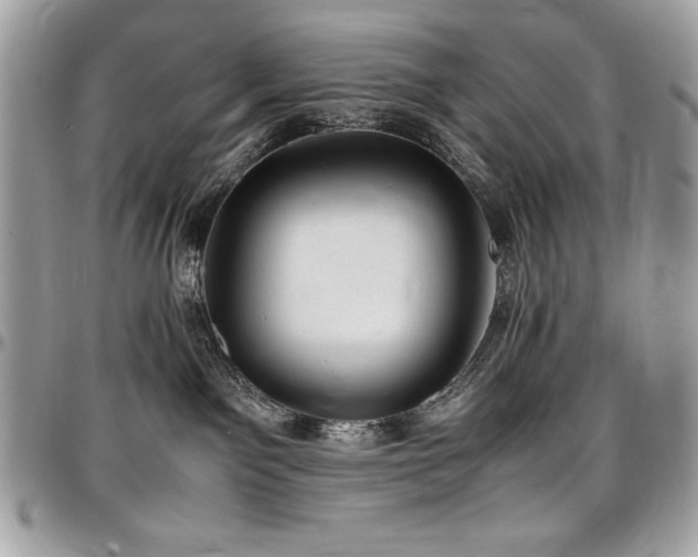 X0000097300141200802151447