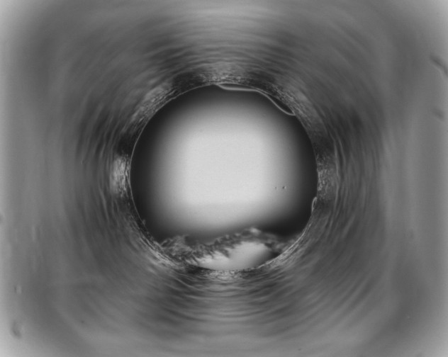 X0000097300142200802151447