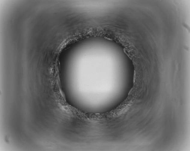 X0000097300144200802151447