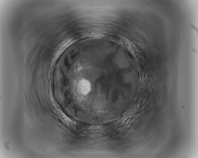 X0000097300145200802151446