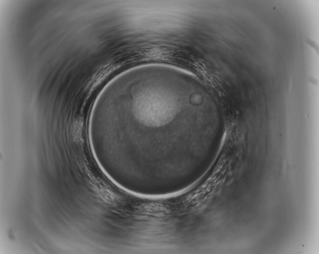 X0000097300146200802151446
