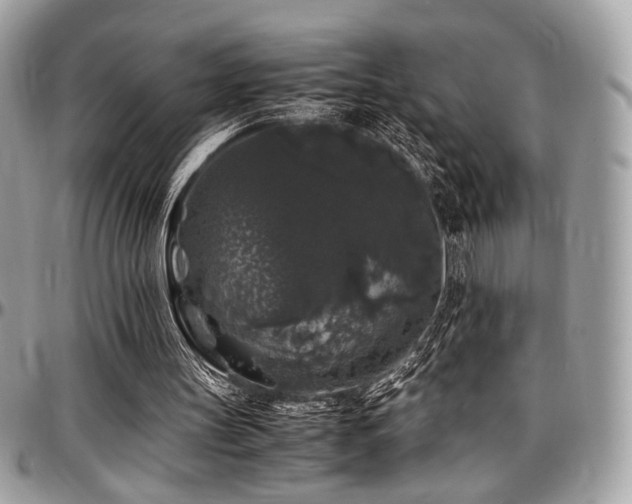 X0000097300147200802151446