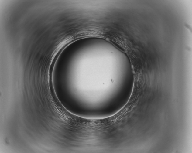X0000097300148200802151446