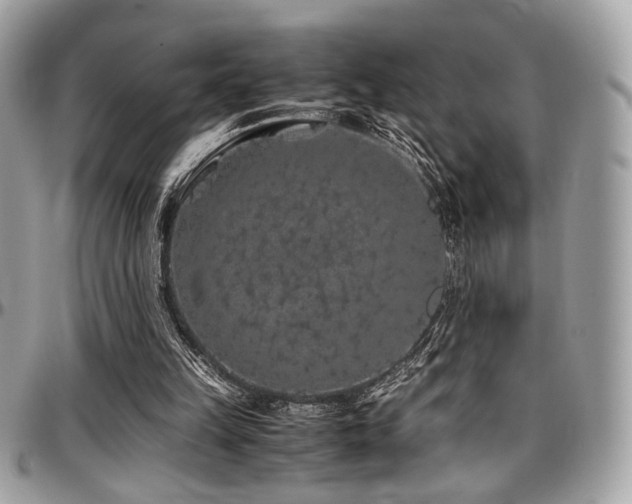 X0000097300149200802151446