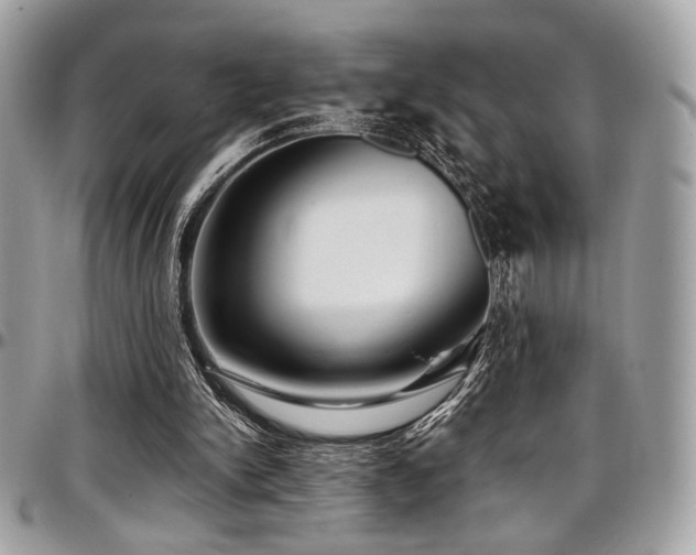 X0000097300150200802151446