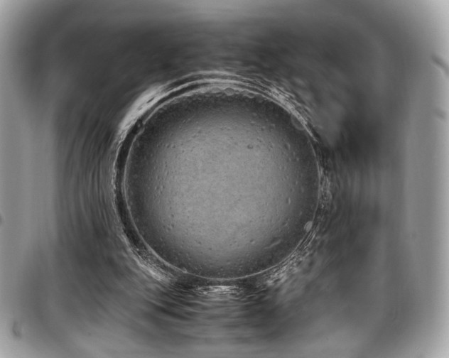 X0000097300151200802151446