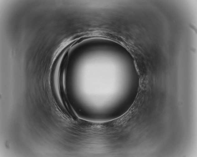X0000097300152200802151447
