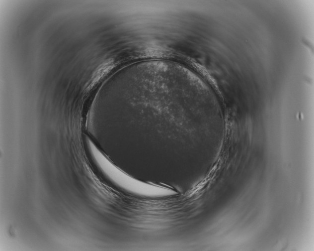 X0000097300154200802151447