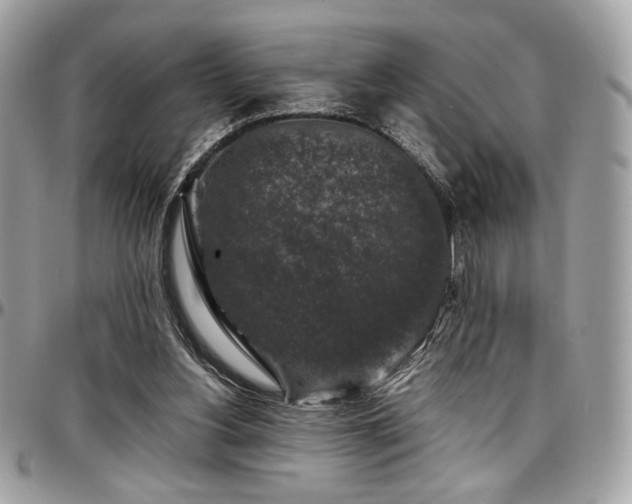 X0000097300156200802151447