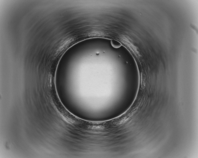 X0000097300157200802151447