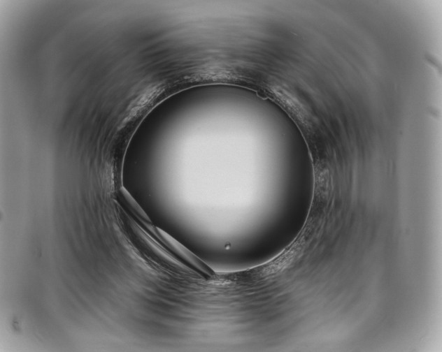 X0000097300158200802151447