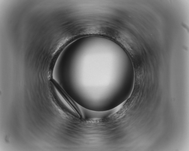 X0000097300160200802151447