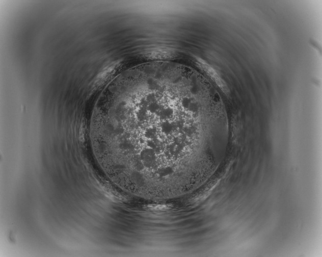 X0000097300161200802151447