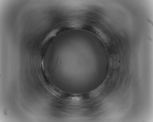 X0000097300163200802151447