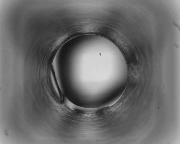 X0000097300164200802151447