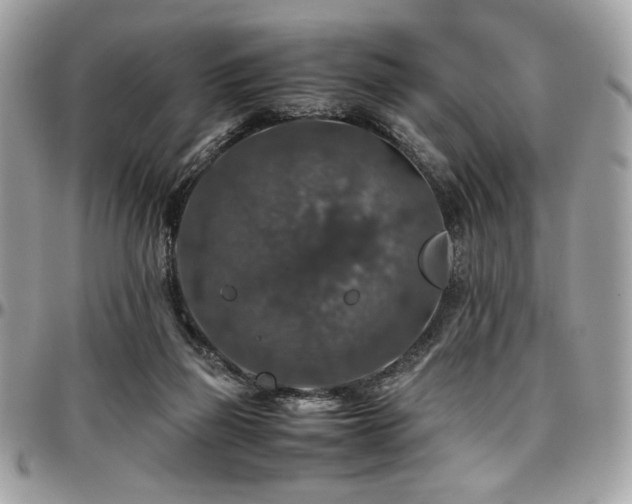 X0000097300165200802151447
