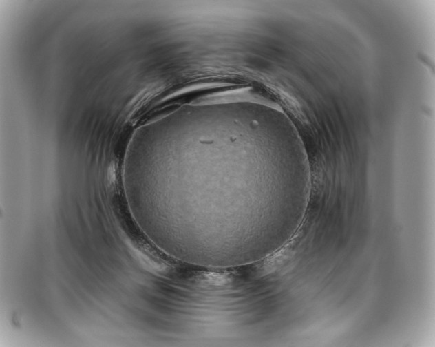 X0000097300166200802151447