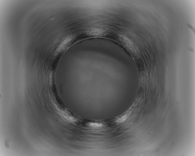 X0000097300167200802151447