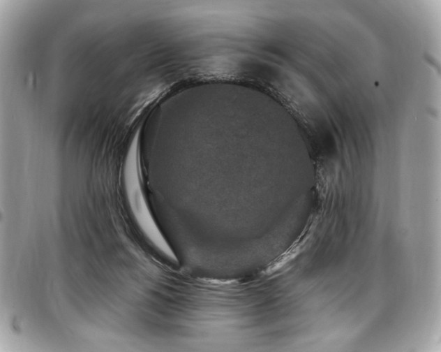 X0000097300168200802151447
