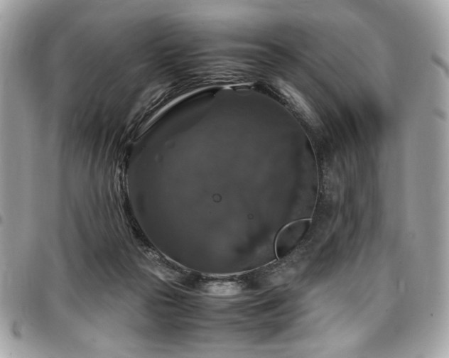X0000097300169200802151447