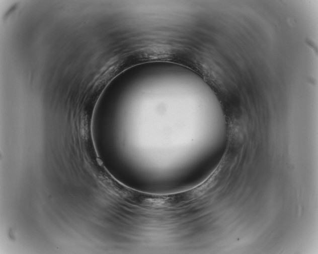 X0000097300170200802151447