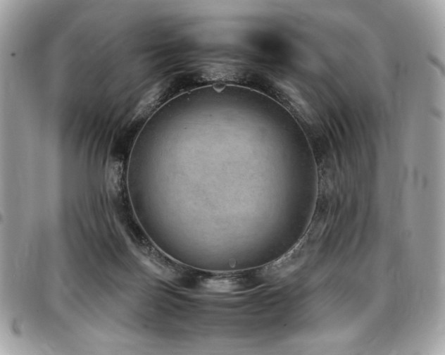 X0000097300171200802151447