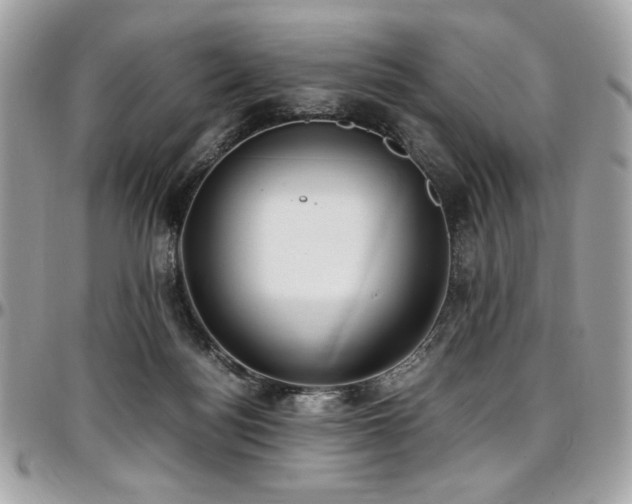 X0000097300172200802151447