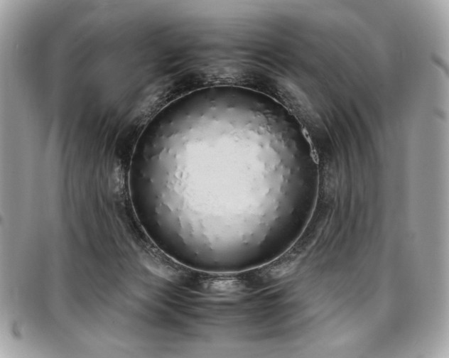 X0000097300173200802151447