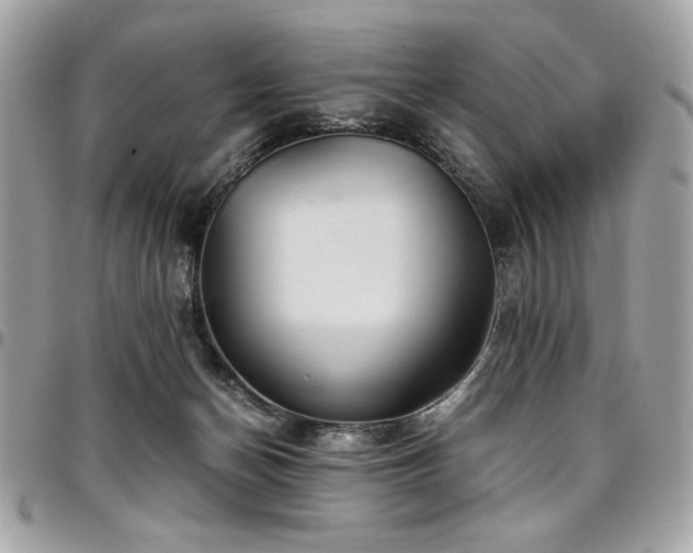 X0000097300174200802151447