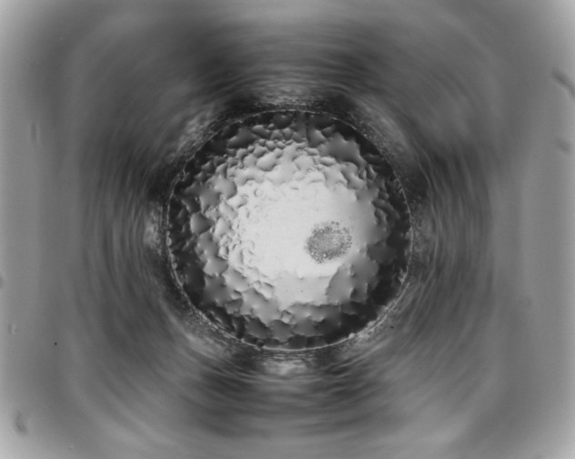 X0000097300175200802151447