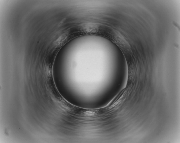 X0000097300176200802151447