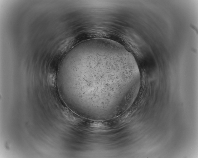 X0000097300177200802151447