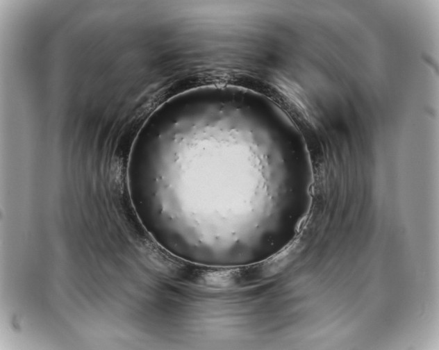 X0000097300178200802151447