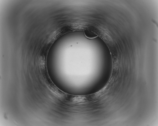 X0000097300179200802151447