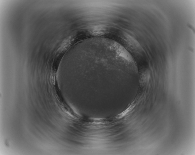 X0000097300180200802151447