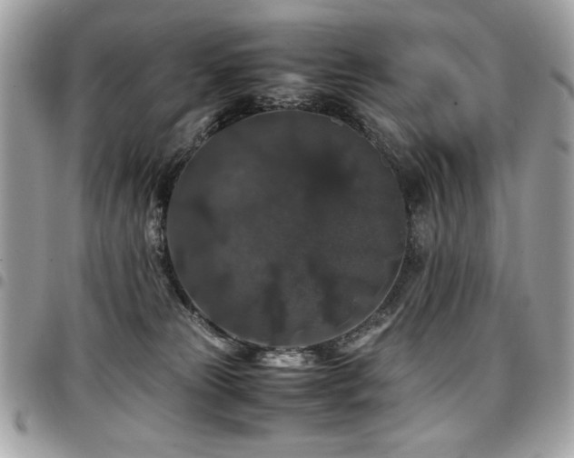 X0000097300181200802151447