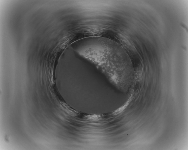 X0000097300182200802151447