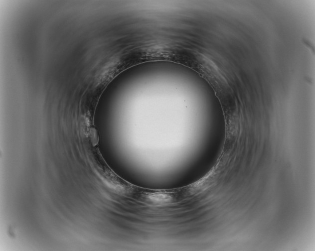 X0000097300183200802151447