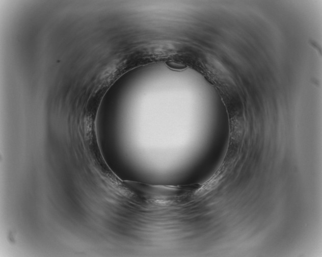 X0000097300184200802151447