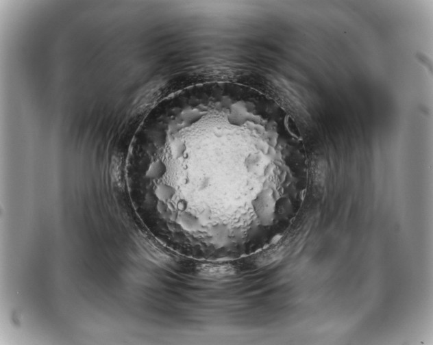 X0000097300185200802151447