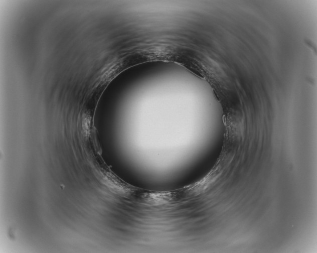 X0000097300188200802151447