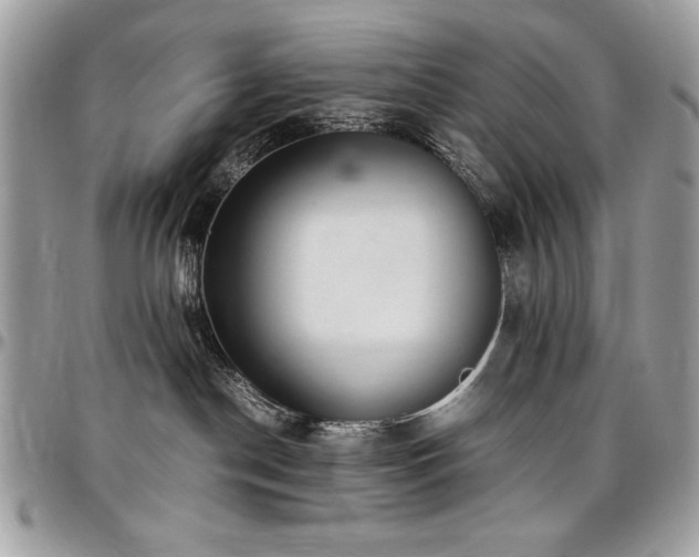 X0000097300190200802151447