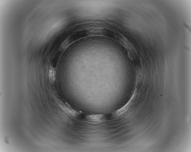 X0000097300191200802151447