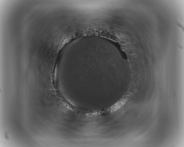 X0000097300192200802151447