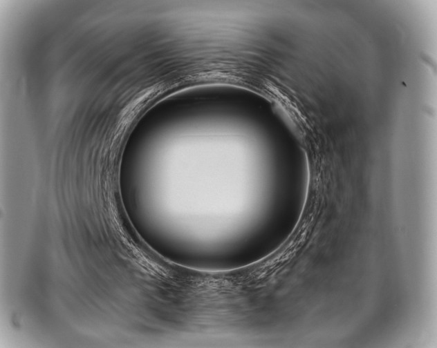 X0000097300193200802151446