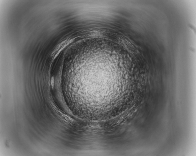 X0000097300194200802151446